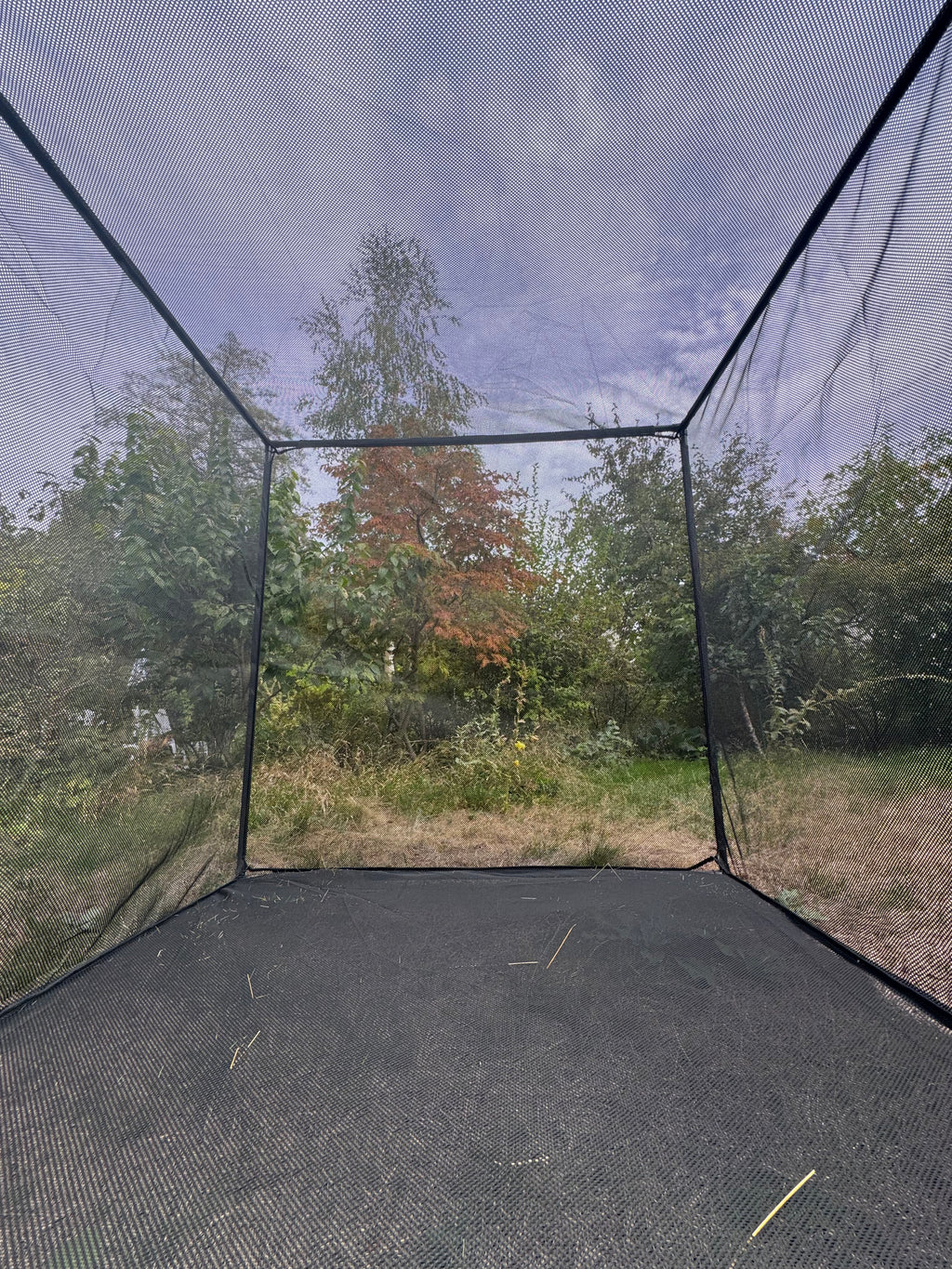 Cage à chauve-souris M