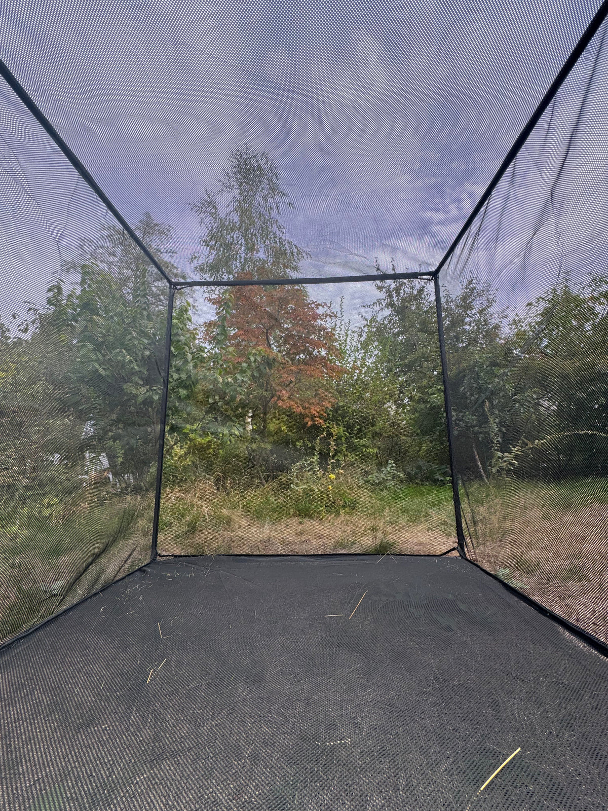 Cage à chauve-souris M