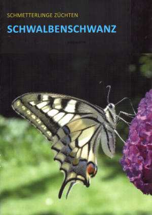 Zuchtanleitung Schwalbenschwanz