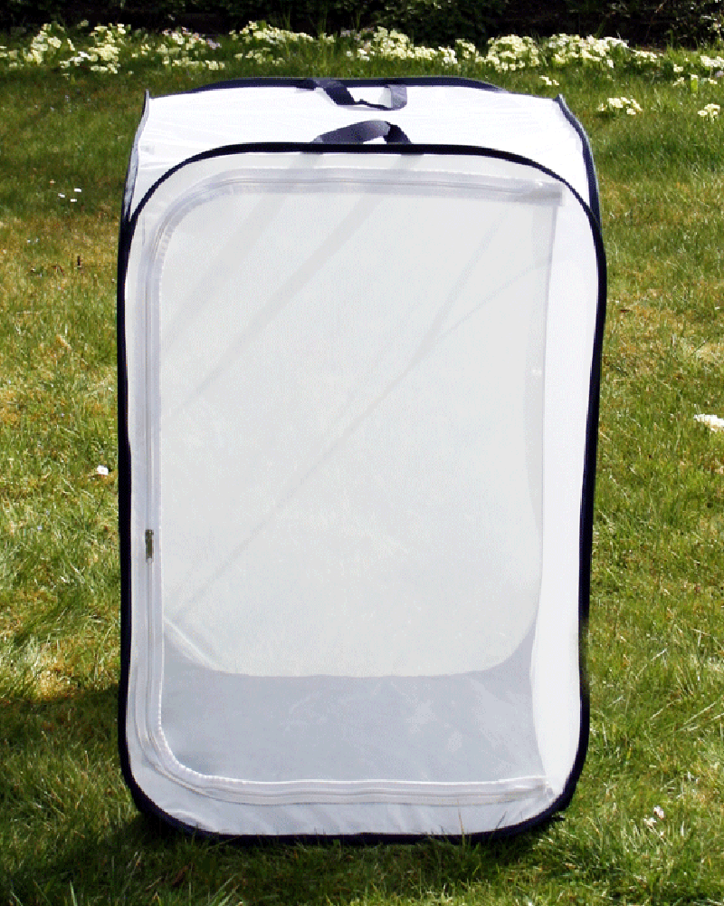 Aerarium Grösse L 60x60x90cm