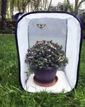 Aerarium Grösse M 40x40x60cm