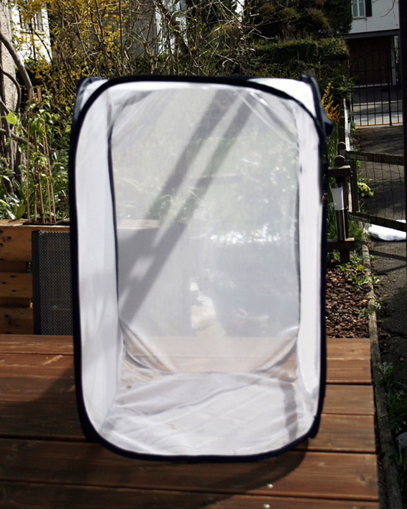 Aerarium Grösse M 40x40x60cm