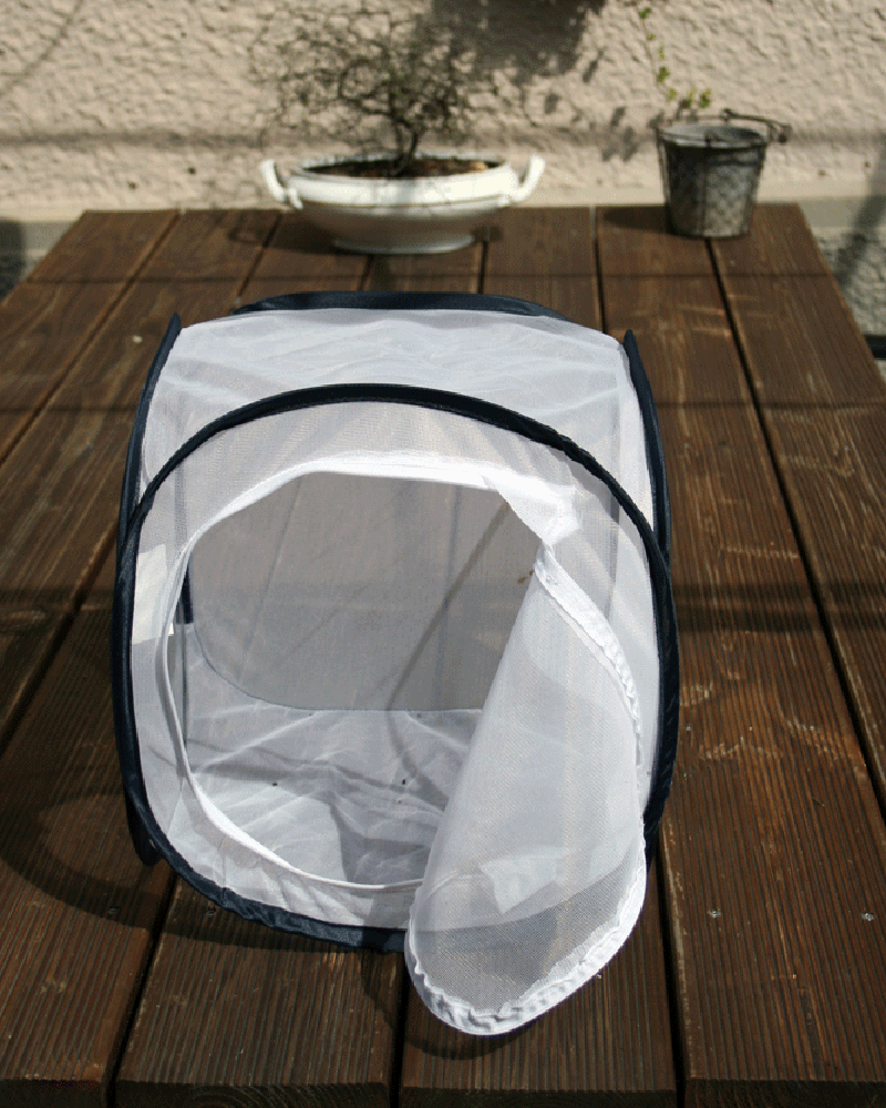 Aerarium Grösse S 30x30x30cm