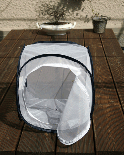 Aerarium Grösse S 30x30x30cm