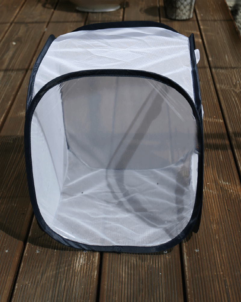 Aerarium Grösse S 30x30x30cm