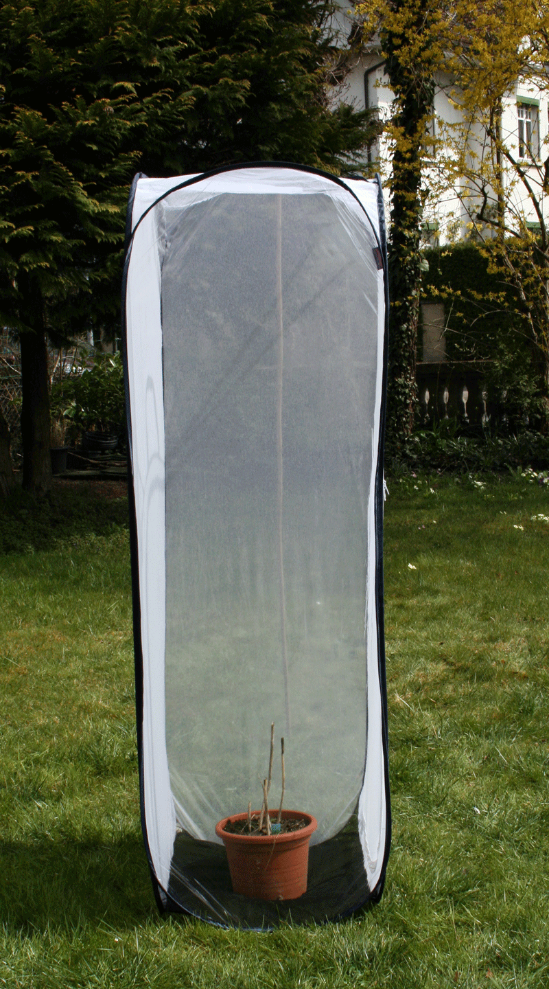 Aerarium taille XL